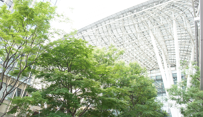 巴比伦游戏官网欢迎你 ソン・ヒユエは薪よりも固いジャーキーを下に置いた：しかし、禹公である帝国軍はそこに座ることができないかもしれない.